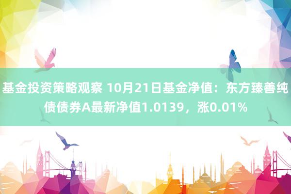 基金投资策略观察 10月21日基金净值：东方臻善纯债债券A最新净值1.0139，涨0.01%