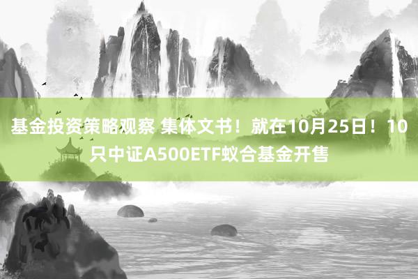 基金投资策略观察 集体文书！就在10月25日！10只中证A500ETF蚁合基金开售