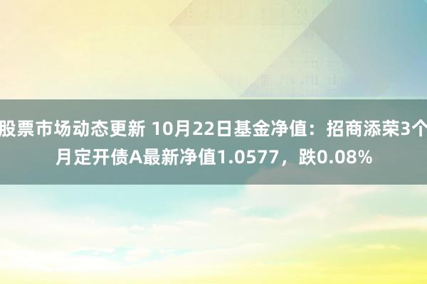 股票市场动态更新 10月22日基金净值：招商添荣3个月定开债A最新净值1.0577，跌0.08%