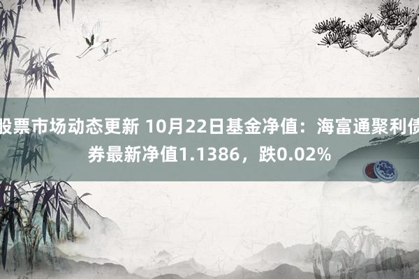 股票市场动态更新 10月22日基金净值：海富通聚利债券最新净值1.1386，跌0.02%