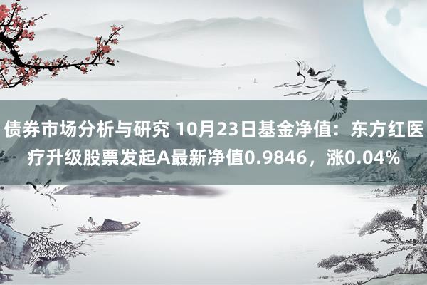 债券市场分析与研究 10月23日基金净值：东方红医疗升级股票发起A最新净值0.9846，涨0.04%