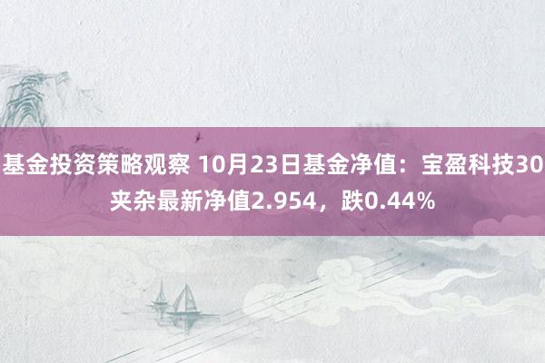 基金投资策略观察 10月23日基金净值：宝盈科技30夹杂最新净值2.954，跌0.44%