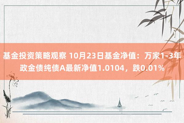 基金投资策略观察 10月23日基金净值：万家1-3年政金债纯债A最新净值1.0104，跌0.01%