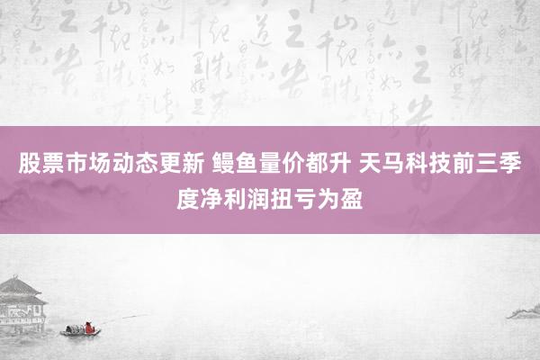 股票市场动态更新 鳗鱼量价都升 天马科技前三季度净利润扭亏为盈