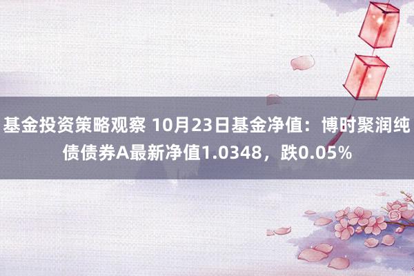 基金投资策略观察 10月23日基金净值：博时聚润纯债债券A最新净值1.0348，跌0.05%