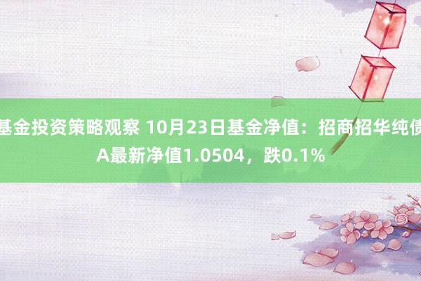 基金投资策略观察 10月23日基金净值：招商招华纯债A最新净值1.0504，跌0.1%