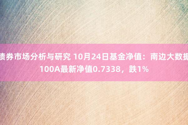 债券市场分析与研究 10月24日基金净值：南边大数据100A最新净值0.7338，跌1%