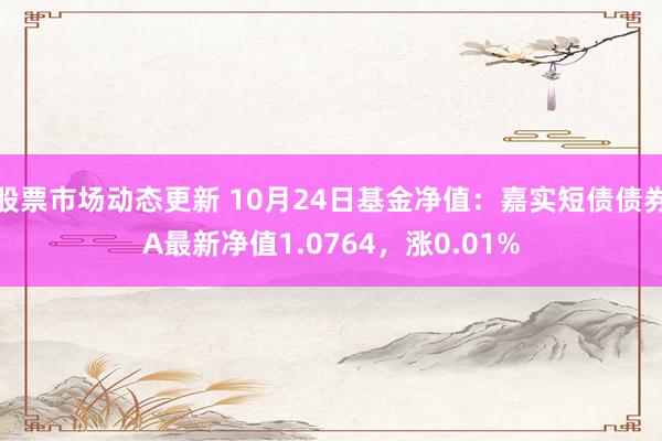 股票市场动态更新 10月24日基金净值：嘉实短债债券A最新净值1.0764，涨0.01%