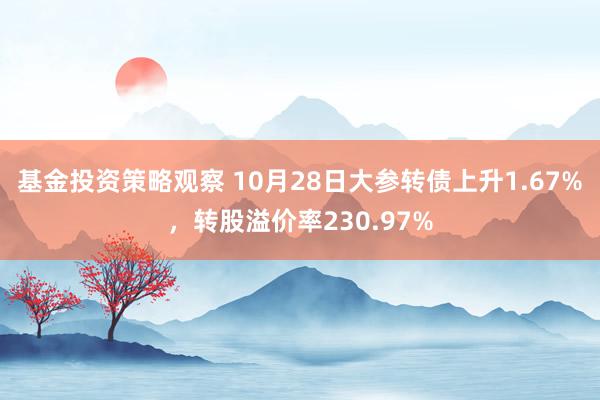 基金投资策略观察 10月28日大参转债上升1.67%，转股溢价率230.97%