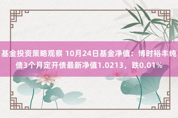 基金投资策略观察 10月24日基金净值：博时裕丰纯债3个月定开债最新净值1.0213，跌0.01%