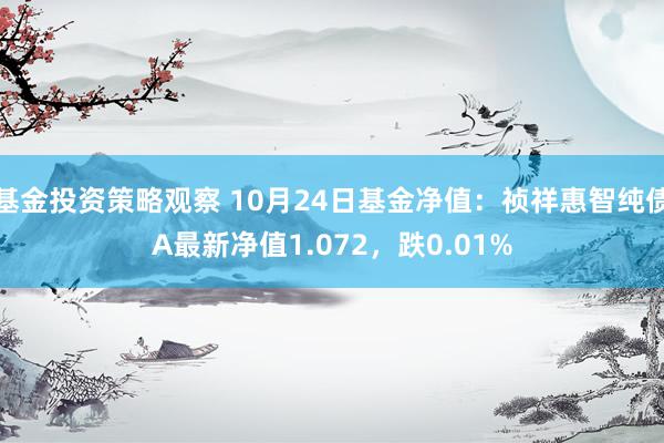 基金投资策略观察 10月24日基金净值：祯祥惠智纯债A最新净值1.072，跌0.01%