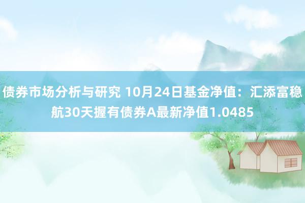 债券市场分析与研究 10月24日基金净值：汇添富稳航30天握有债券A最新净值1.0485