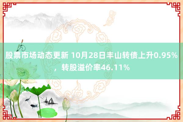 股票市场动态更新 10月28日丰山转债上升0.95%，转股溢价率46.11%