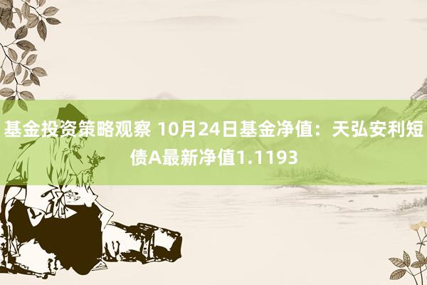 基金投资策略观察 10月24日基金净值：天弘安利短债A最新净值1.1193