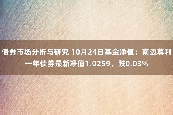 债券市场分析与研究 10月24日基金净值：南边尊利一年债券最新净值1.0259，跌0.03%