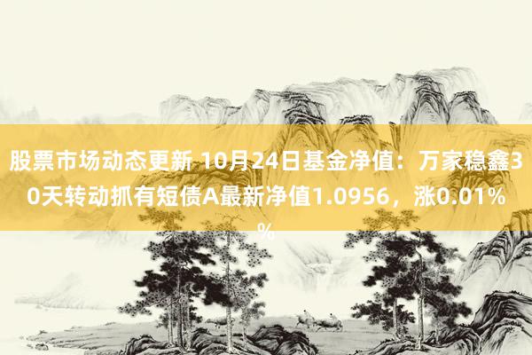 股票市场动态更新 10月24日基金净值：万家稳鑫30天转动抓有短债A最新净值1.0956，涨0.01%