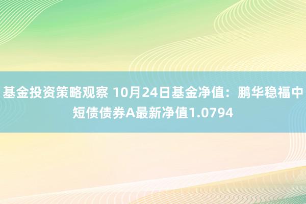 基金投资策略观察 10月24日基金净值：鹏华稳福中短债债券A最新净值1.0794