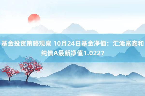 基金投资策略观察 10月24日基金净值：汇添富鑫和纯债A最新净值1.0227