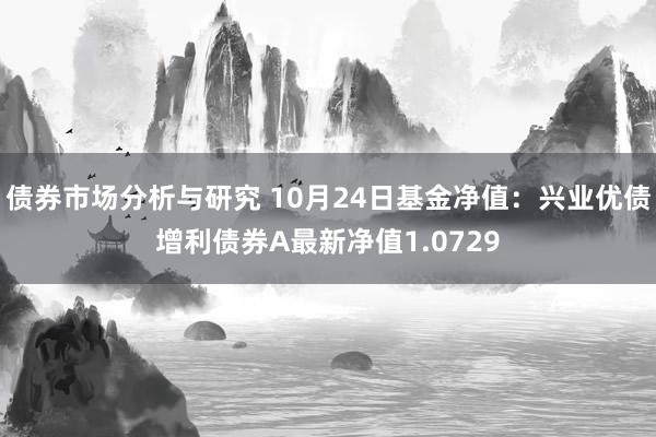 债券市场分析与研究 10月24日基金净值：兴业优债增利债券A最新净值1.0729