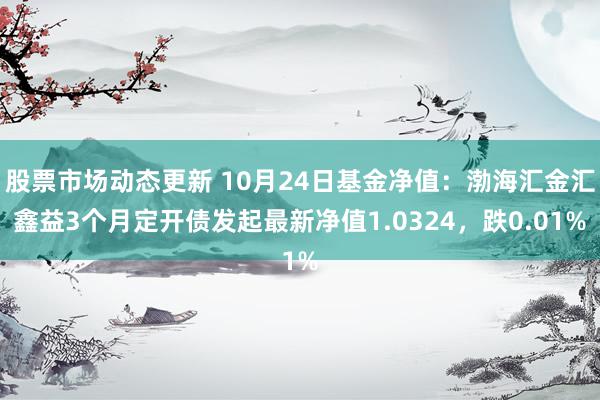 股票市场动态更新 10月24日基金净值：渤海汇金汇鑫益3个月定开债发起最新净值1.0324，跌0.01%