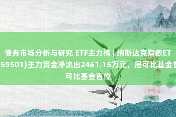 债券市场分析与研究 ETF主力榜 | 纳斯达克指数ETF(159501)主力资金净流出2461.15万元，居可比基金首位