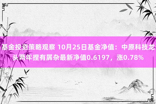 基金投资策略观察 10月25日基金净值：中原科技龙头两年捏有羼杂最新净值0.6197，涨0.78%