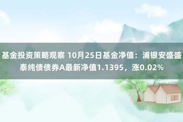 基金投资策略观察 10月25日基金净值：浦银安盛盛泰纯债债券A最新净值1.1395，涨0.02%