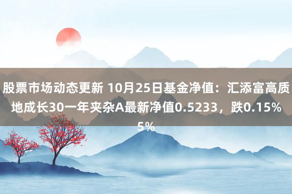 股票市场动态更新 10月25日基金净值：汇添富高质地成长30一年夹杂A最新净值0.5233，跌0.15%