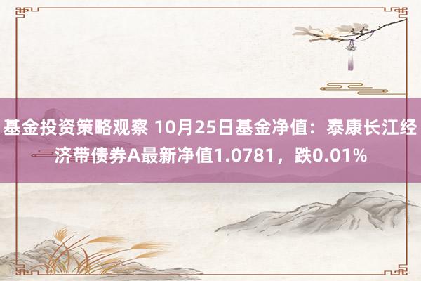 基金投资策略观察 10月25日基金净值：泰康长江经济带债券A最新净值1.0781，跌0.01%