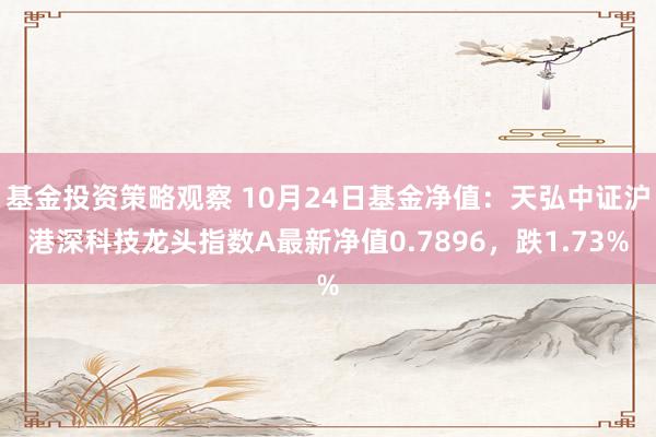 基金投资策略观察 10月24日基金净值：天弘中证沪港深科技龙头指数A最新净值0.7896，跌1.73%