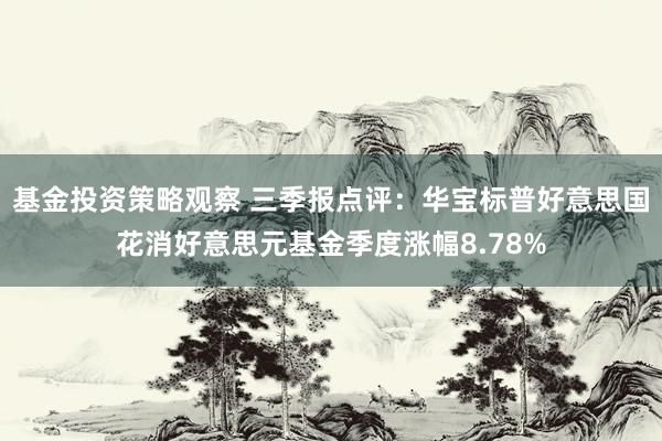 基金投资策略观察 三季报点评：华宝标普好意思国花消好意思元基金季度涨幅8.78%