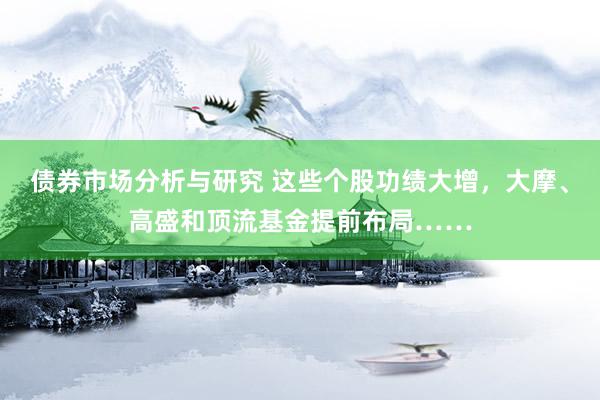 债券市场分析与研究 这些个股功绩大增，大摩、高盛和顶流基金提前布局……