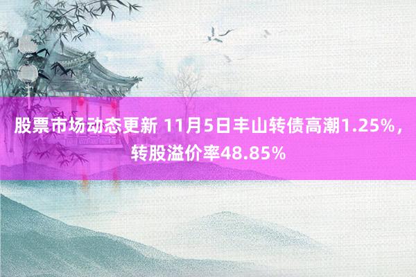 股票市场动态更新 11月5日丰山转债高潮1.25%，转股溢价率48.85%