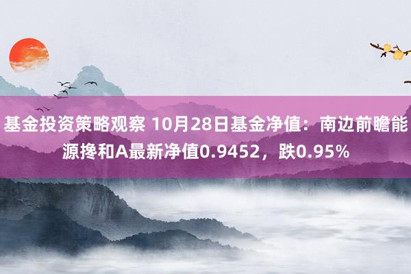 基金投资策略观察 10月28日基金净值：南边前瞻能源搀和A最新净值0.9452，跌0.95%