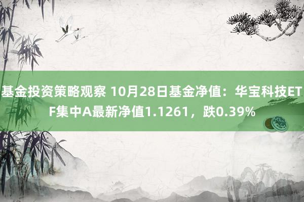 基金投资策略观察 10月28日基金净值：华宝科技ETF集中A最新净值1.1261，跌0.39%