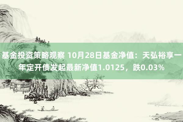 基金投资策略观察 10月28日基金净值：天弘裕享一年定开债发起最新净值1.0125，跌0.03%