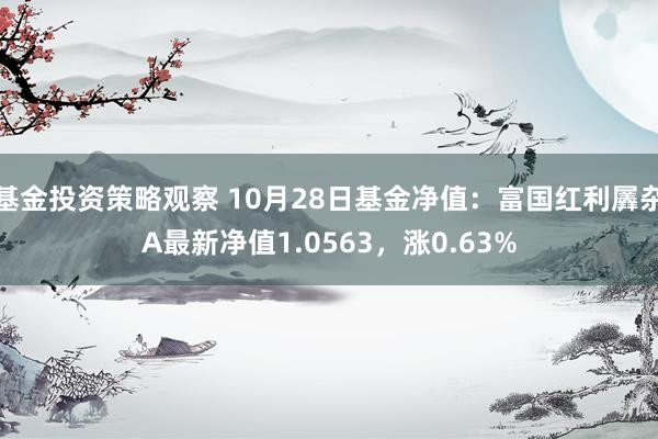 基金投资策略观察 10月28日基金净值：富国红利羼杂A最新净值1.0563，涨0.63%