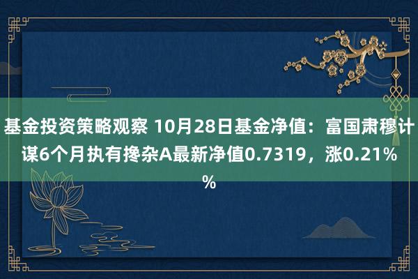 基金投资策略观察 10月28日基金净值：富国肃穆计谋6个月执有搀杂A最新净值0.7319，涨0.21%