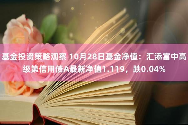 基金投资策略观察 10月28日基金净值：汇添富中高级第信用债A最新净值1.119，跌0.04%