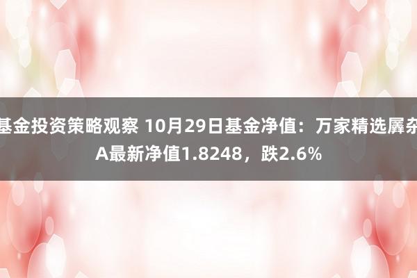 基金投资策略观察 10月29日基金净值：万家精选羼杂A最新净值1.8248，跌2.6%