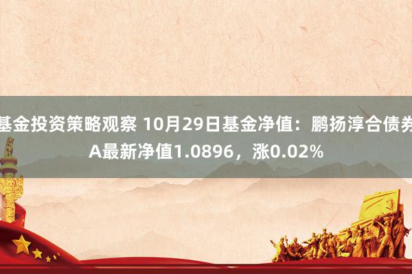 基金投资策略观察 10月29日基金净值：鹏扬淳合债券A最新净值1.0896，涨0.02%