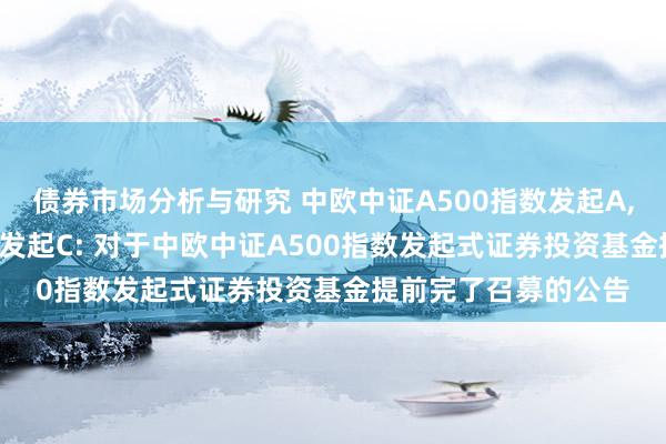 债券市场分析与研究 中欧中证A500指数发起A,中欧中证A500指数发起C: 对于中欧中证A500指数发起式证券投资基金提前完了召募的公告