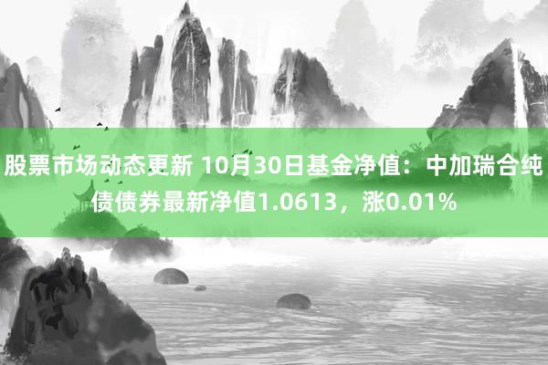 股票市场动态更新 10月30日基金净值：中加瑞合纯债债券最新净值1.0613，涨0.01%