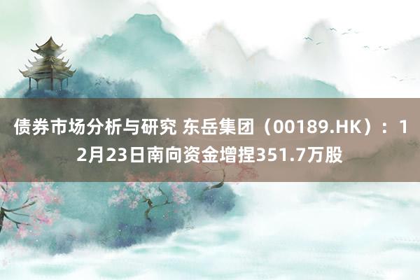 债券市场分析与研究 东岳集团（00189.HK）：12月23日南向资金增捏351.7万股