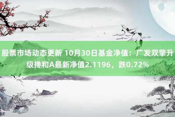 股票市场动态更新 10月30日基金净值：广发双擎升级搀和A最新净值2.1196，跌0.72%