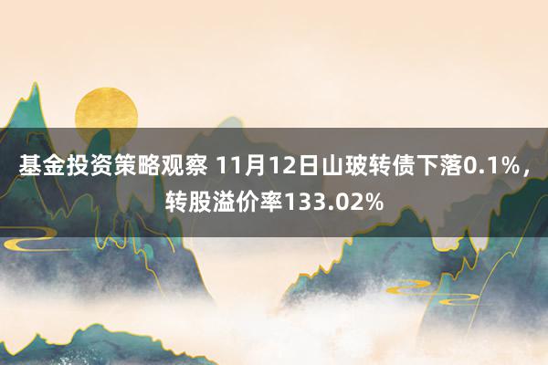 基金投资策略观察 11月12日山玻转债下落0.1%，转股溢价率133.02%