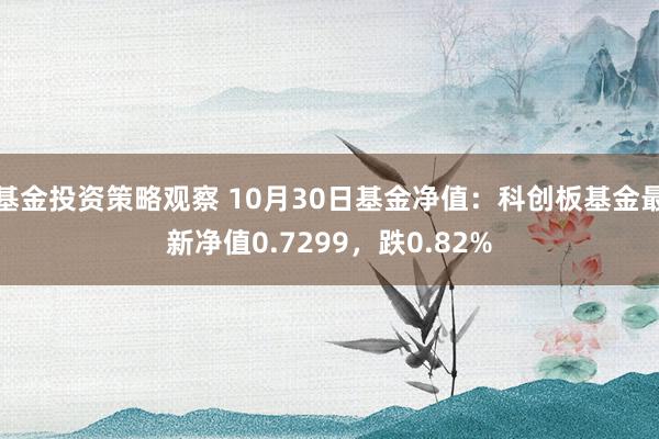 基金投资策略观察 10月30日基金净值：科创板基金最新净值0.7299，跌0.82%