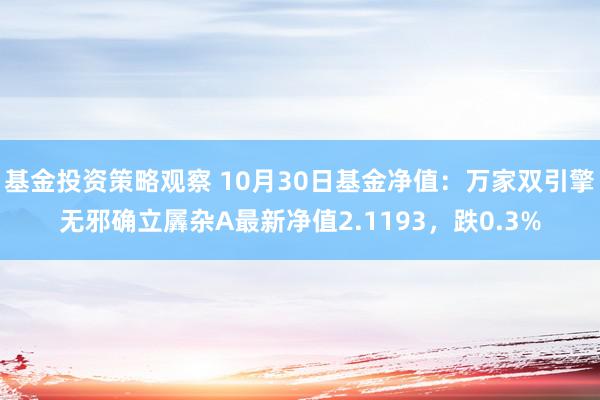 基金投资策略观察 10月30日基金净值：万家双引擎无邪确立羼杂A最新净值2.1193，跌0.3%