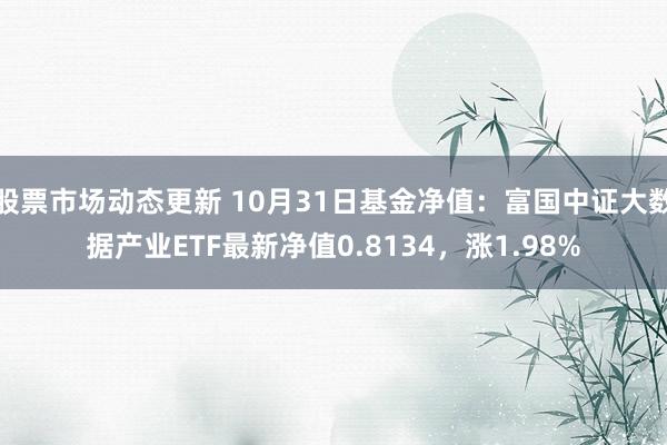 股票市场动态更新 10月31日基金净值：富国中证大数据产业ETF最新净值0.8134，涨1.98%