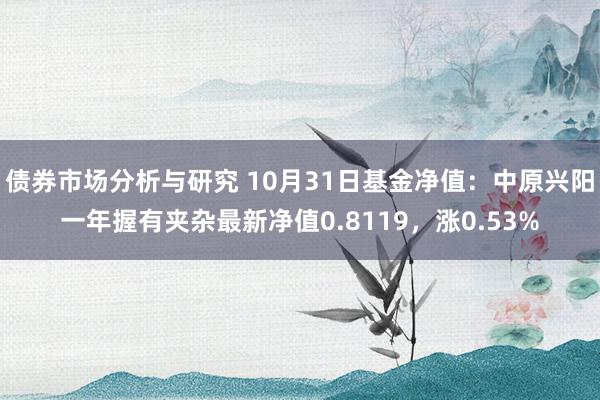 债券市场分析与研究 10月31日基金净值：中原兴阳一年握有夹杂最新净值0.8119，涨0.53%